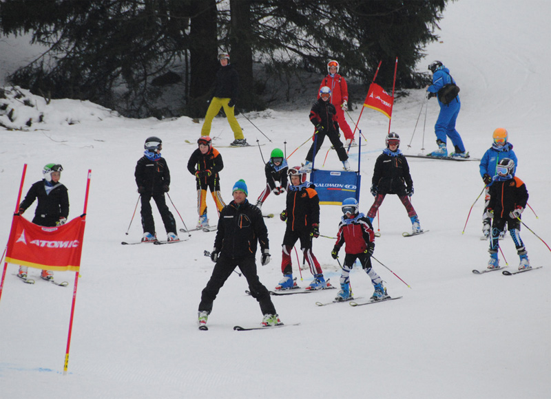 Dobrý den!  AMER Sports Cup in Telnice am 15.2.2015 