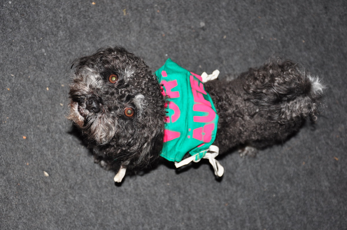 Bild 02 Vereinsmeisterschaften