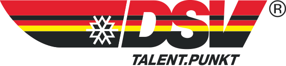 DSV Logo 2020 Talentpunkt 4c